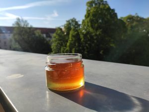Eine Delikatesse: Honig der Leipziger-Stadtwerke-Bienen..